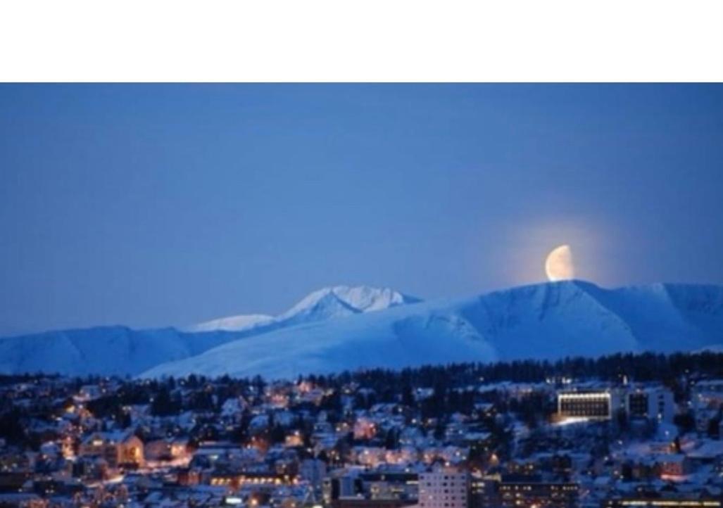 Polar Cozy Apartment - With View And Free Parking ทรอมโซ ภายนอก รูปภาพ